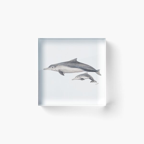 Item preview, Australian humpback dolphin (Sousa sahulensis) with baby designed and sold by chloeyzoard.