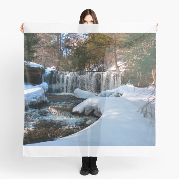 Winter Afternoon At Oneida Falls Scarf