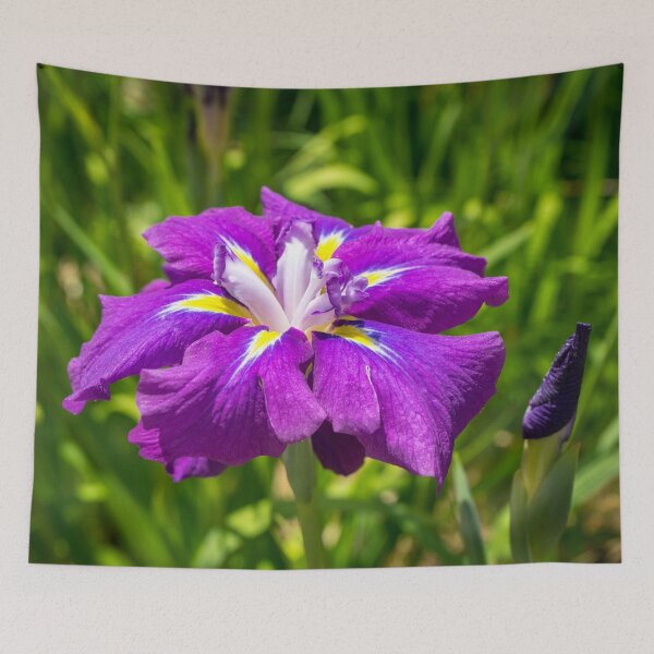 Item preview, Electric Purple Jewel - Japanese Iris Abloom designed and sold by Georgia Mizuleva.