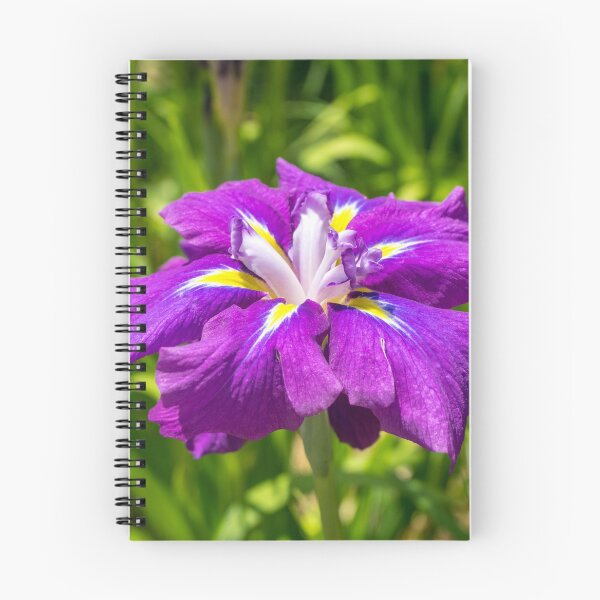 Item preview, Electric Purple Jewel - Japanese Iris Abloom designed and sold by Georgia Mizuleva.