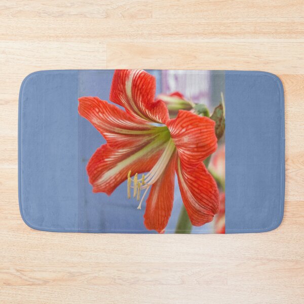 Item preview, Tania's Happy Hippy plants - Hippeastrum designed and sold by KazM.