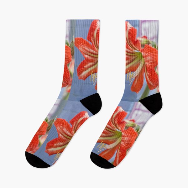 Item preview, Tania's Happy Hippy plants - Hippeastrum designed and sold by KazM.