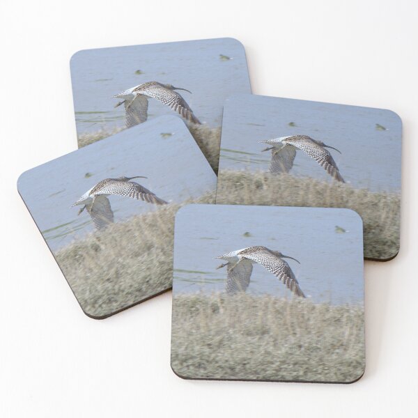 Item preview, Curlew 04 designed and sold by Sharon Perrett.