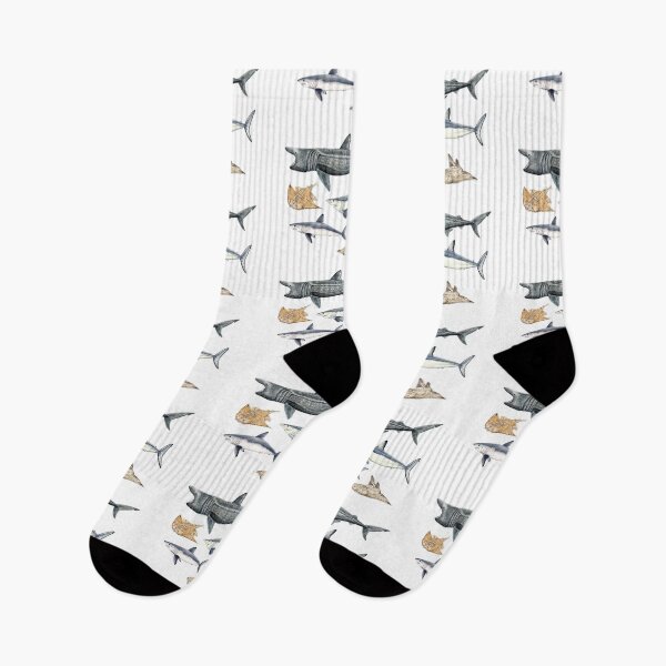 Item preview, Shark diversity designed and sold by chloeyzoard.