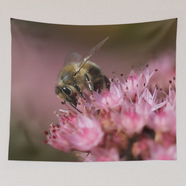 Item preview, Bee on sedum designed and sold by cuprum.