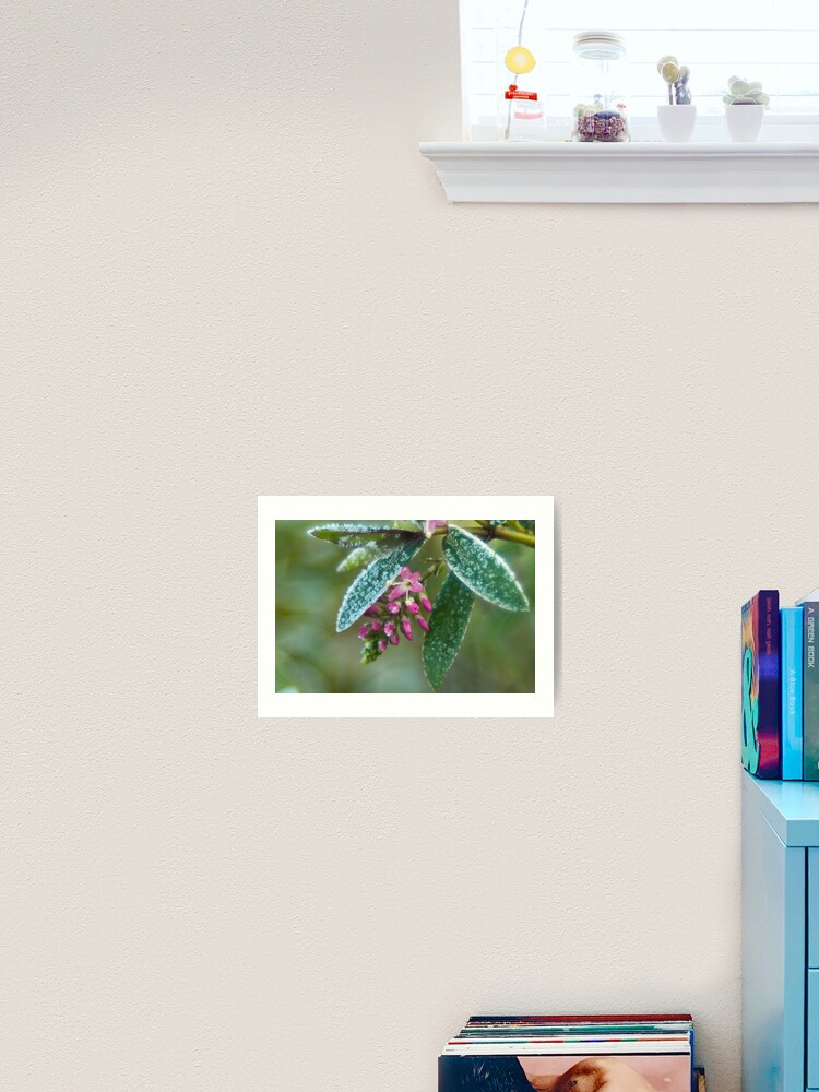 Thumbnail 2 of 3, Art Print, Dressed in ice crystals designed and sold by steppeland.