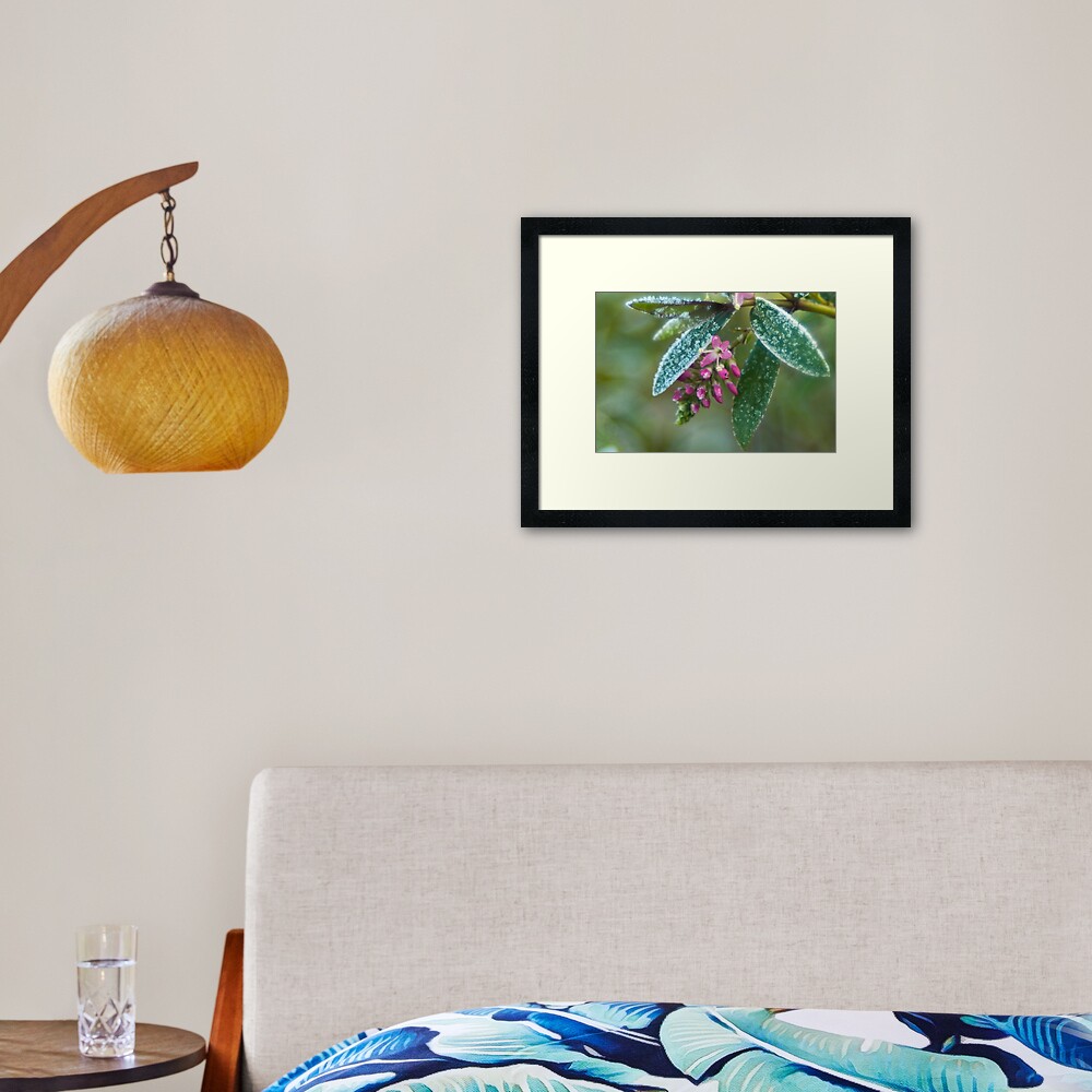 Item preview, Framed Art Print designed and sold by steppeland.