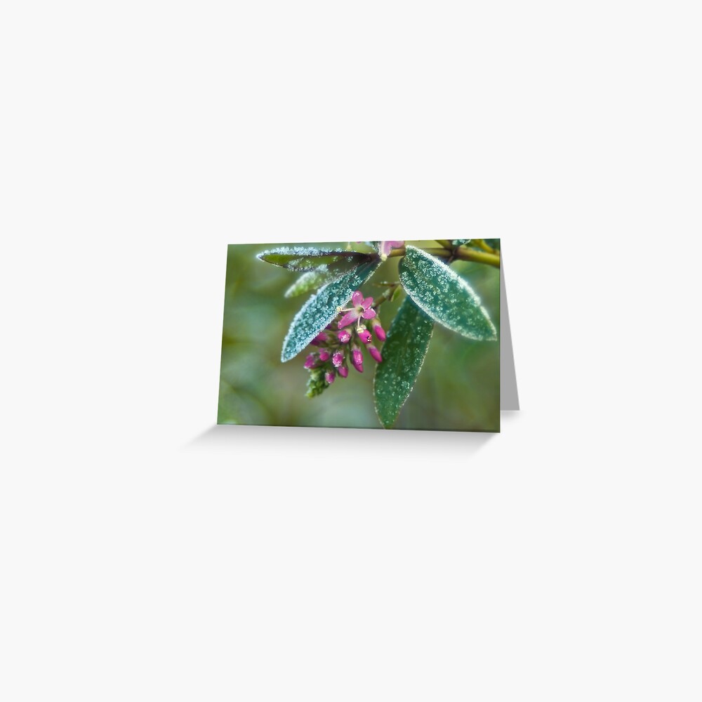 Item preview, Greeting Card designed and sold by steppeland.