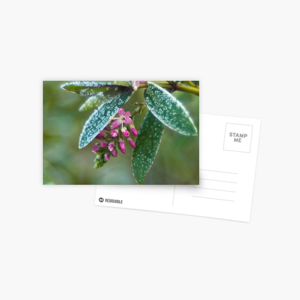 Item preview, Postcard designed and sold by steppeland.