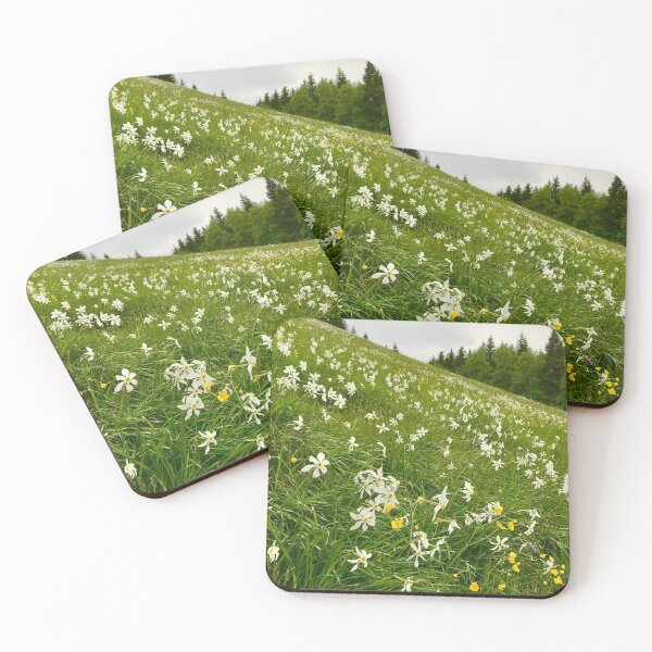 Item preview, A Field of Blooming Narcissus  designed and sold by Christine  Wilson Photos.
