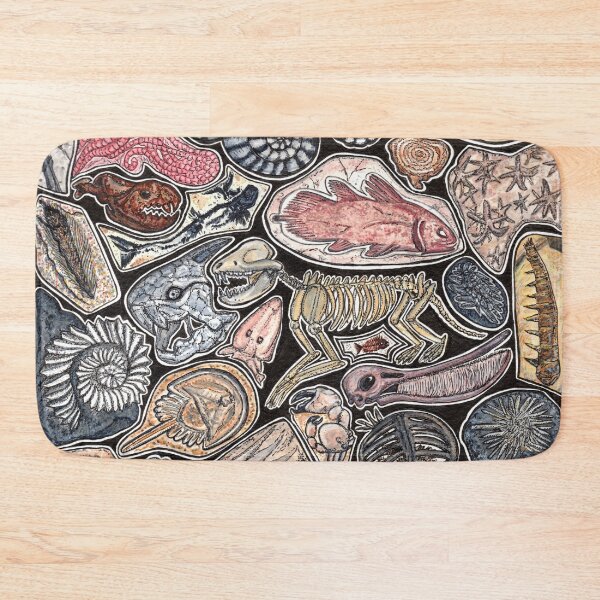 Item preview, Fossils for history, dinosaur and archaeology lovers designed and sold by chloeyzoard.