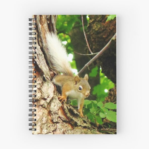 Item preview, The Squirrel With The Flaxen Hair designed and sold by artwhiz47.