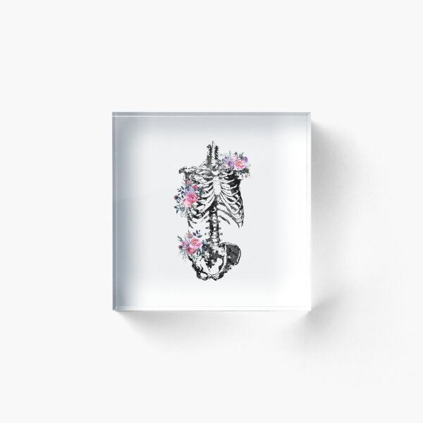 Skeleton Torso Acrylic Block