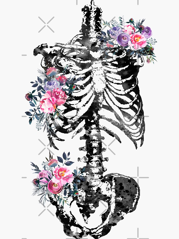 skeleton torso drawing