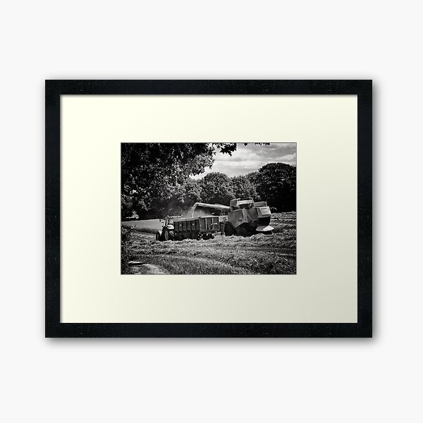Harvest Time Framed Art Print
