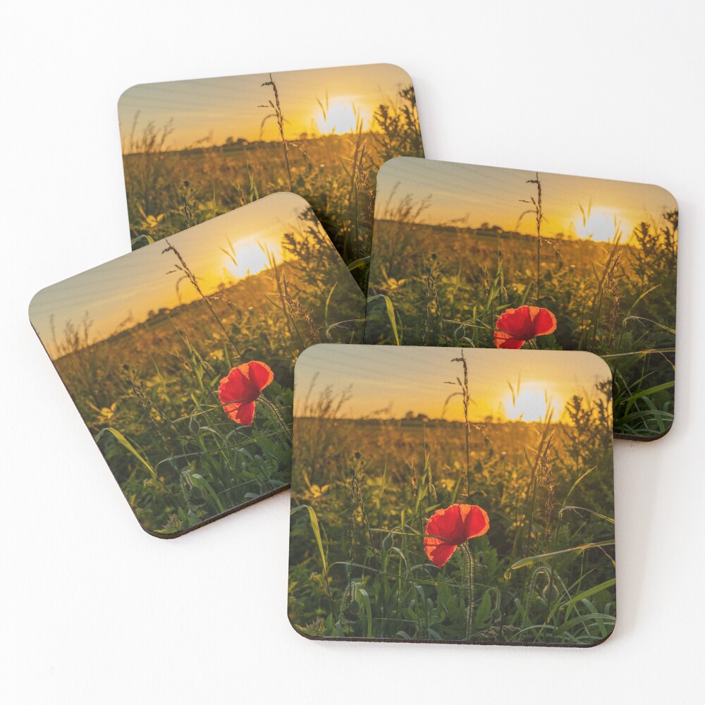 Item preview, Coasters (Set of 4) designed and sold by Ruffus11.