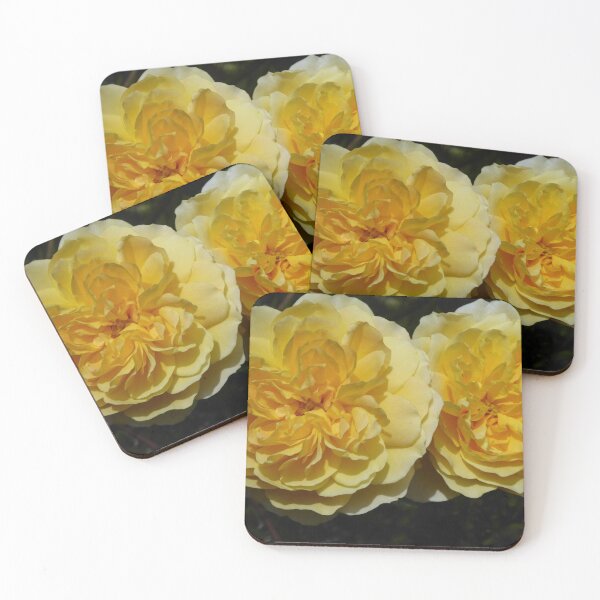 Item preview, Late flowering yellow roses. designed and sold by Woodie.