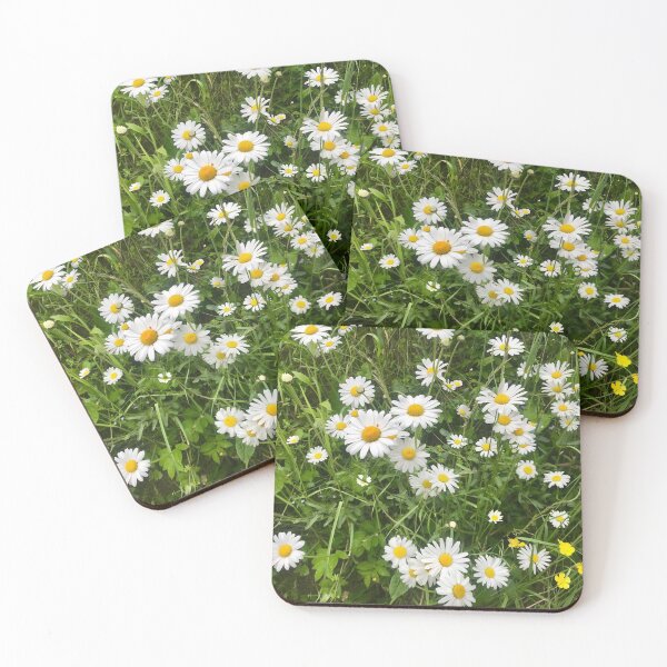 Item preview, Daisies, just Daisies designed and sold by Christine  Wilson Photos.
