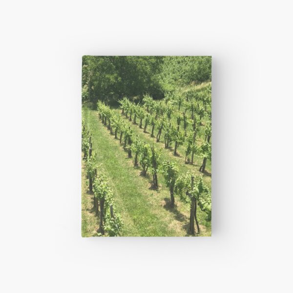 Item preview, Styrian Wine Country in June designed and sold by Christine  Wilson Photos.
