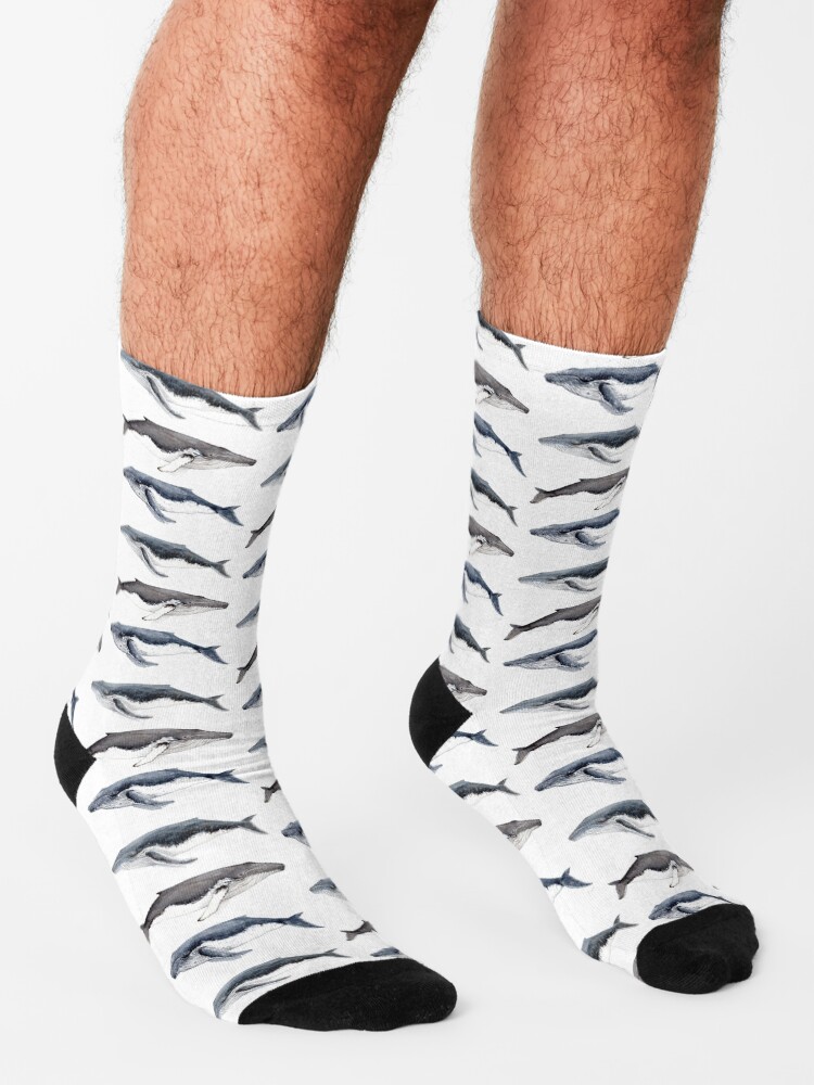 Alternate view of Humpback whales (Megaptera novaeangliae) Socks