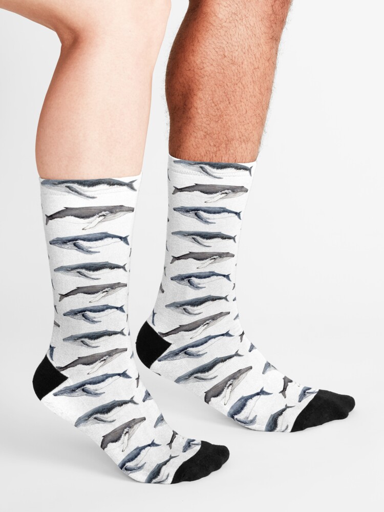 Alternate view of Humpback whales (Megaptera novaeangliae) Socks