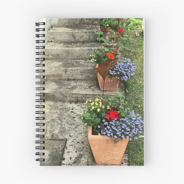 Item preview, Flowerpots on Concrete Stairs designed and sold by Christine  Wilson Photos.