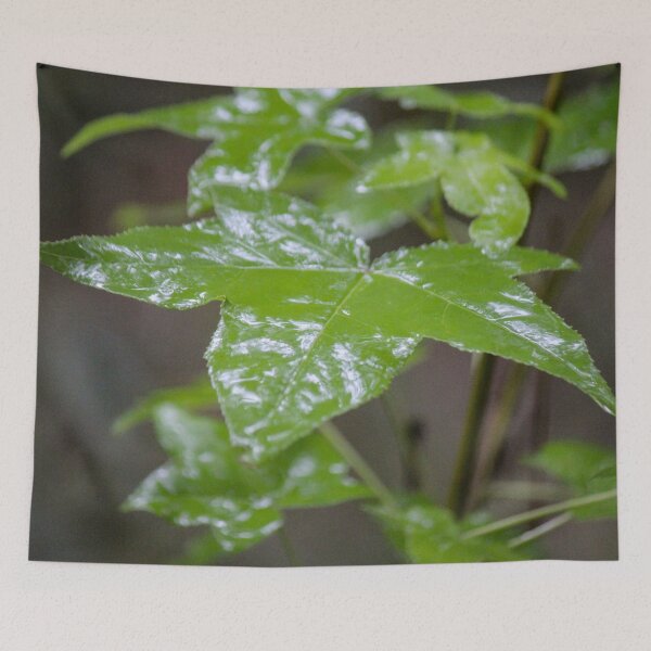 Item preview, Maple Leaves designed and sold by Bob Hardy.