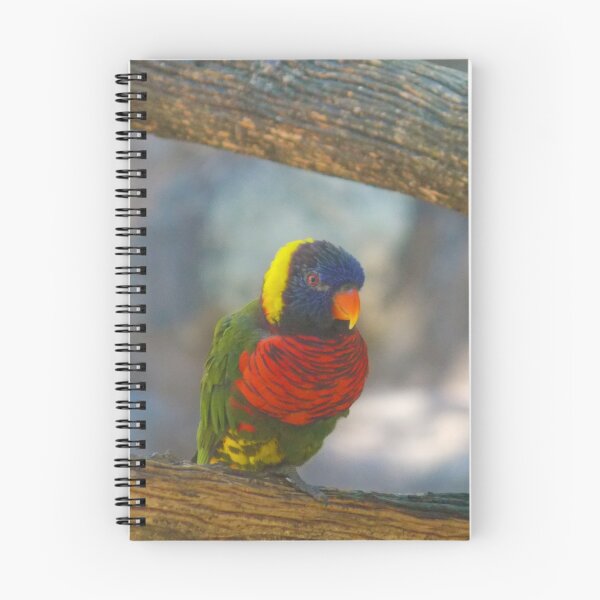 Item preview, Green-Naped Lorikeet designed and sold by tessanicole.