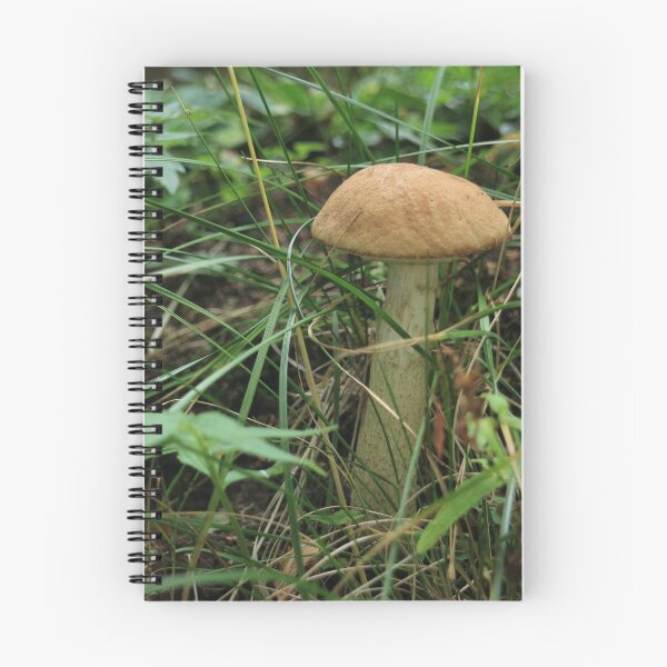Item preview, Leccinum Scabrum Mushroom designed and sold by mrivserg.