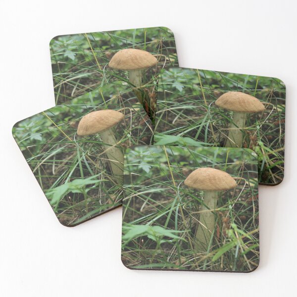 Item preview, Leccinum Scabrum Mushroom designed and sold by mrivserg.