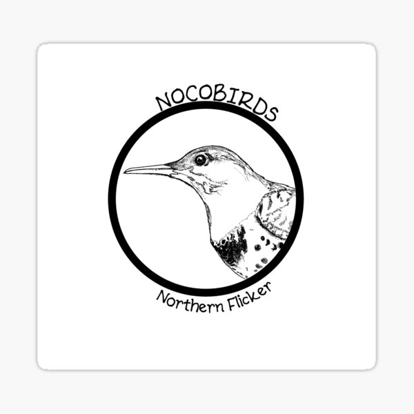 Northern Flicker Sticker