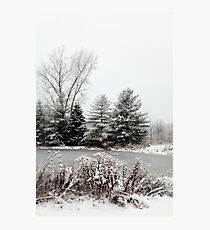 Winter Pond Photographic Print
