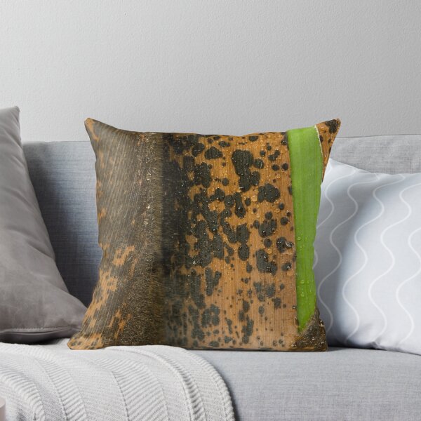 Item preview, Young Bamboo designed and sold by Skye Hohmann.