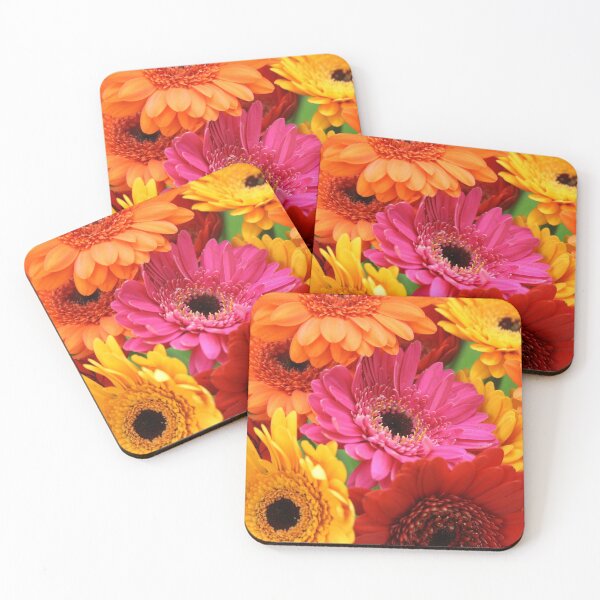 Brightly coloured gerbera Coasters (Set of 4)