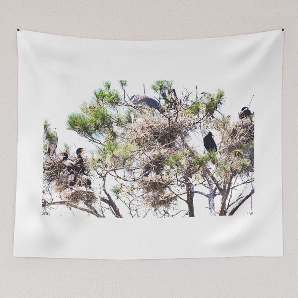 Item preview, Herons And Cormorants Sharing A Tree designed and sold by LisaWootenPhoto.