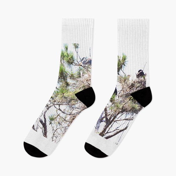 Item preview, Herons And Cormorants Sharing A Tree designed and sold by LisaWootenPhoto.