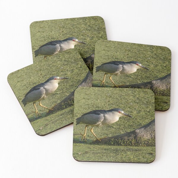 Item preview, Black-crowned Night Heron Climbing to Its Lookout spot designed and sold by Gerda Grice Photography.