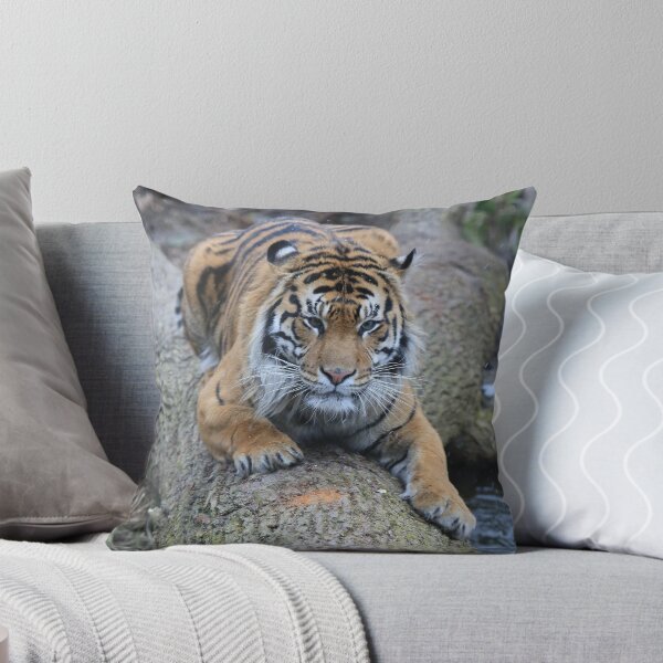Item preview, Jae Jae' new home designed and sold by Sheila Smith.