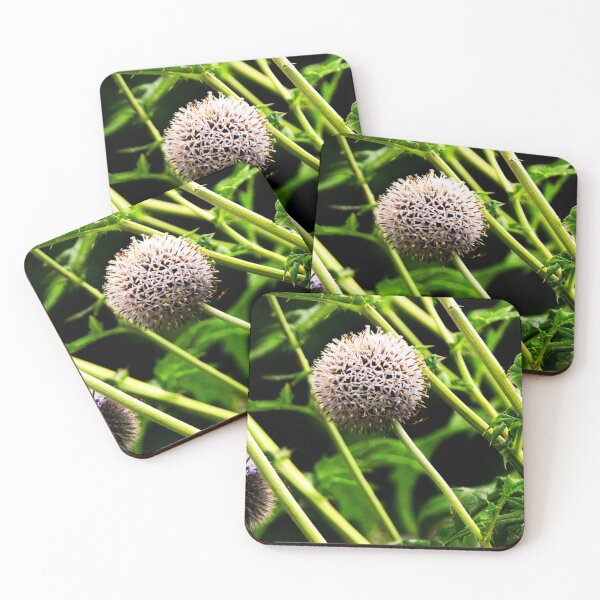 Item preview, Globe Thistle Flowers designed and sold by BritishYank.