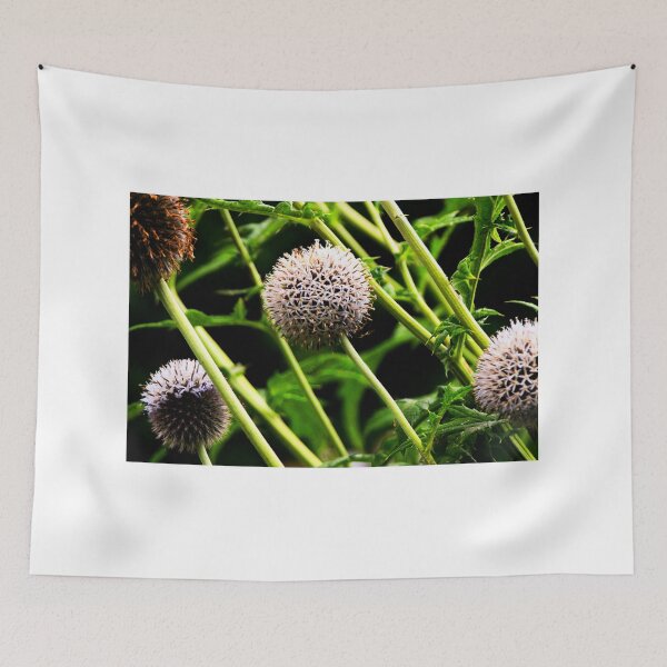 Item preview, Globe Thistle Flowers designed and sold by BritishYank.