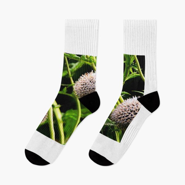 Item preview, Globe Thistle Flowers designed and sold by BritishYank.