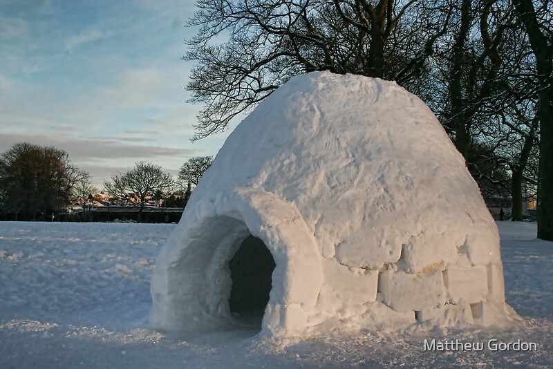 "Igloo in Duthie Park, Aberdeen" by Matthew Gordon Redbubble