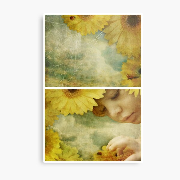 Wonder - Or the Mystery of the Ladybird Metal Print
