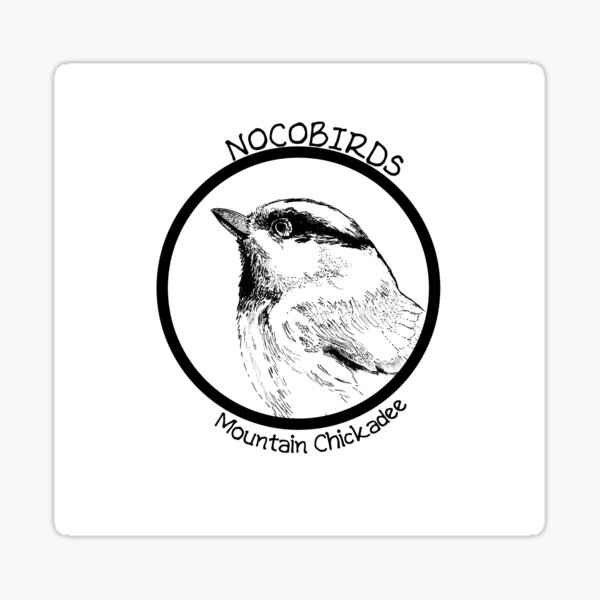 Mountain Chickadee Sticker