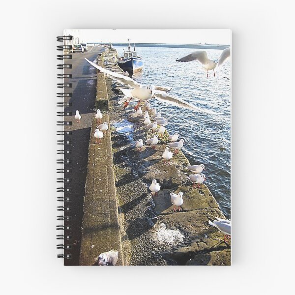 Item preview, Seagulls Galway City Ireland designed and sold by Thispoeticlife.