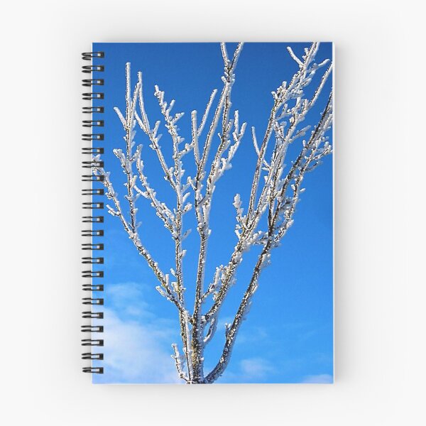 Item preview, Frost on a Bare Tree Ireland designed and sold by Thispoeticlife.