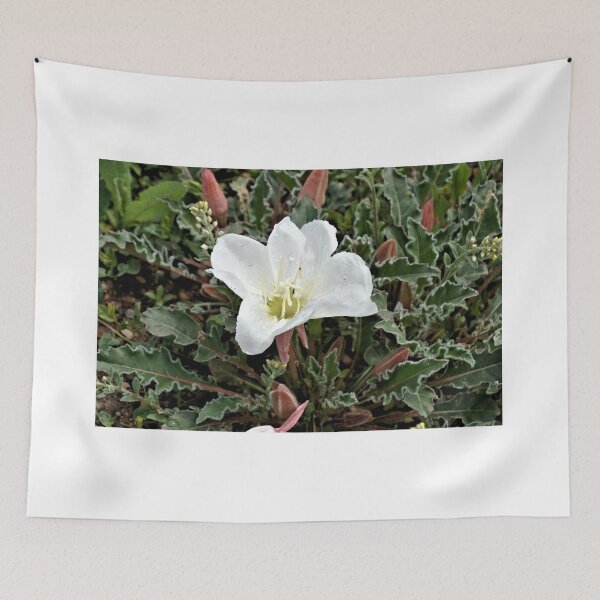 Item preview, Tufted Evening Primrose 2 - Mesa Verde National Park designed and sold by jtrommer.