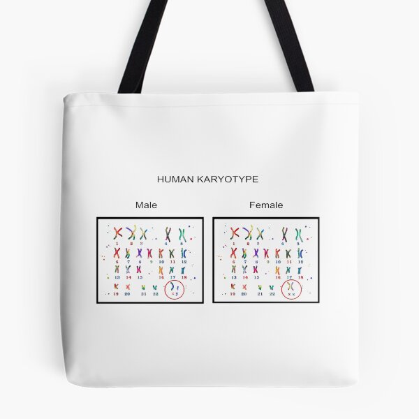 Item preview, Human karyotype, Male and Female chromosome designed and sold by Rosaliartbook.