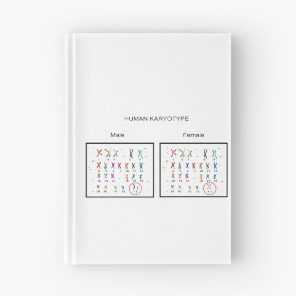 Item preview, Human karyotype, Male and Female chromosome designed and sold by Rosaliartbook.