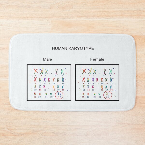 Item preview, Human karyotype, Male and Female chromosome designed and sold by Rosaliartbook.